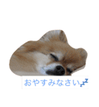 おぽめさん（個別スタンプ：2）