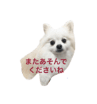 おぽめさん（個別スタンプ：3）