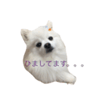 おぽめさん（個別スタンプ：7）