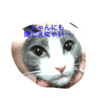 さくこて＆ちびーず（個別スタンプ：4）