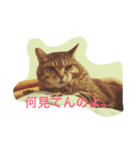 目つきの悪い猫、メイ（個別スタンプ：2）