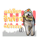 Yaris Husky Thailand（個別スタンプ：3）