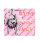Yaris Husky Thailand（個別スタンプ：4）