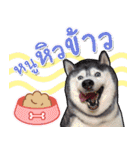 Yaris Husky Thailand（個別スタンプ：6）