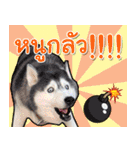 Yaris Husky Thailand（個別スタンプ：10）
