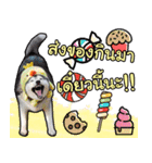 Yaris Husky Thailand（個別スタンプ：12）