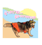 Yaris Husky Thailand（個別スタンプ：13）