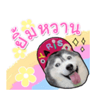 Yaris Husky Thailand（個別スタンプ：14）