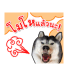 Yaris Husky Thailand（個別スタンプ：16）
