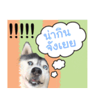 Yaris Husky Thailand（個別スタンプ：20）