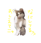 mirutan（個別スタンプ：2）
