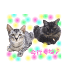 かわいい猫 ふぅ＆みぃ（個別スタンプ：7）