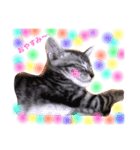 かわいい猫 ふぅ＆みぃ（個別スタンプ：10）