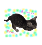 かわいい猫 ふぅ＆みぃ（個別スタンプ：15）