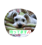 babuthan-1（個別スタンプ：1）