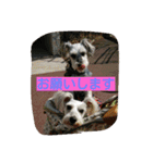 babuthan-1（個別スタンプ：6）