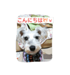 babuthan-1（個別スタンプ：9）
