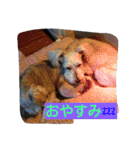 babuthan-1（個別スタンプ：11）