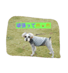 babuthan-1（個別スタンプ：14）
