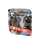 babuthan-1（個別スタンプ：16）