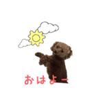 toy poodle Kiki 1（個別スタンプ：6）