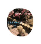 毎日ハッピー気分（個別スタンプ：2）
