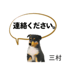 三村さん用の名前スタンプ・子犬イラスト（個別スタンプ：12）