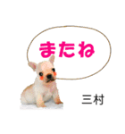 三村さん用の名前スタンプ・子犬イラスト（個別スタンプ：23）