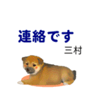 三村さん用の名前スタンプ・子犬イラスト（個別スタンプ：25）