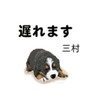 三村さん用の名前スタンプ・子犬イラスト（個別スタンプ：26）
