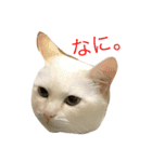 Rize（個別スタンプ：2）