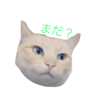 Rize（個別スタンプ：4）