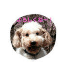 thank you！！！（個別スタンプ：1）