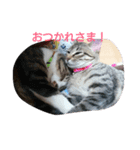 thank you！！！（個別スタンプ：2）