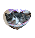thank you！！！（個別スタンプ：4）