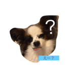 さんぽいく？（個別スタンプ：2）