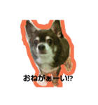 mu！mu！（個別スタンプ：5）