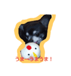 mu！mu！（個別スタンプ：6）