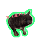 mu！mu！（個別スタンプ：7）