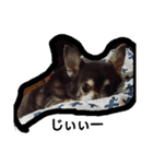 mu！mu！（個別スタンプ：8）