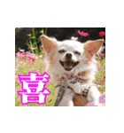 小梅な毎日♪（個別スタンプ：6）