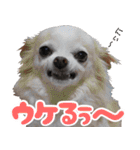 小梅な毎日♪（個別スタンプ：9）