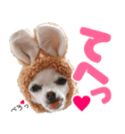 小梅な毎日♪（個別スタンプ：10）