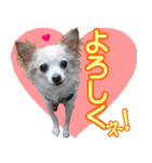 小梅な毎日♪（個別スタンプ：11）