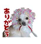 小梅な毎日♪（個別スタンプ：12）
