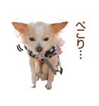 小梅な毎日♪（個別スタンプ：13）