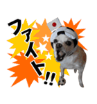 小梅な毎日♪（個別スタンプ：14）
