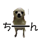 小梅な毎日♪（個別スタンプ：18）