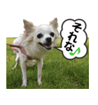 小梅な毎日♪（個別スタンプ：20）