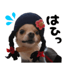 小梅な毎日♪（個別スタンプ：23）